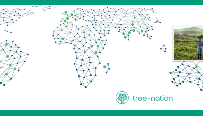 Plantación de 23 árboles